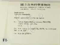 登錄號:F0014325藏品圖，第2張