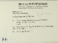 登錄號:F0014326藏品圖，第2張