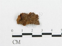 登錄號:F0014327藏品圖，第1張