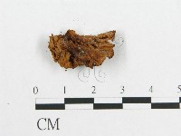 登錄號:F0014327藏品圖，第3張