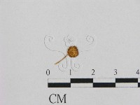 登錄號:F0014332藏品圖，第3張