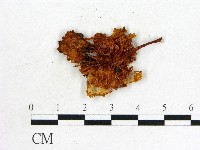 登錄號:F0014333藏品圖，第3張