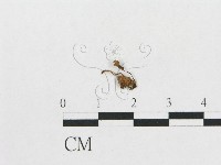 登錄號:F0014334藏品圖，第3張