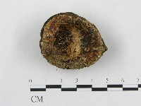 登錄號:F0014334藏品圖，第4張