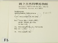 登錄號:F0014336藏品圖，第2張