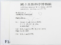 登錄號:F0014337藏品圖，第2張