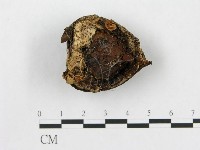 登錄號:F0014337藏品圖，第1張