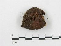 登錄號:F0014337藏品圖，第3張