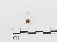 登錄號:F0014337藏品圖，第4張