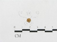 登錄號:F0014337藏品圖，第5張