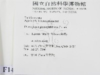 登錄號:F0014339藏品圖，第2張
