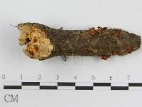 登錄號:F0014339藏品圖，第1張