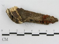 登錄號:F0014339藏品圖，第4張