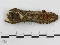 登錄號:F0014339藏品圖，第5張