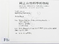 登錄號:F0014340藏品圖，第2張