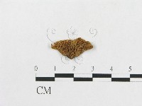 登錄號:F0014340藏品圖，第3張