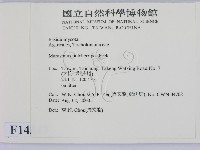 登錄號:F0014343藏品圖，第2張