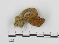 登錄號:F0014344藏品圖，第3張