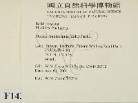 登錄號:F0014345藏品圖，第2張