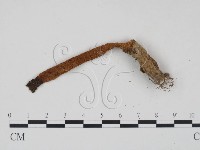 登錄號:F0014345藏品圖，第3張