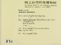 登錄號:F0014346藏品圖，第2張