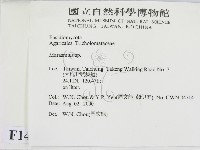 小皮傘屬藏品圖，第2張