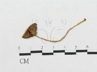 登錄號:F0014348藏品圖，第1張