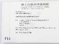 登錄號:F0014349藏品圖，第2張