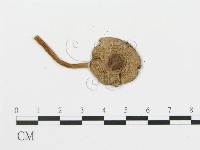 登錄號:F0014349藏品圖，第3張