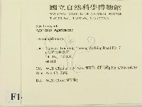 登錄號:F0014353藏品圖，第2張