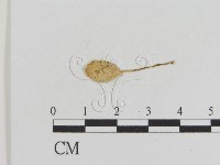 登錄號:F0014353藏品圖，第3張