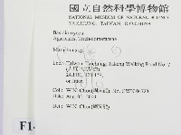 小皮傘屬藏品圖，第2張