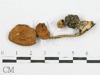 登錄號:F0014360藏品圖，第3張