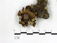 登錄號:F0014364藏品圖，第1張