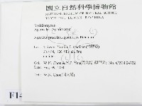 細鱗蘑菇藏品圖，第2張