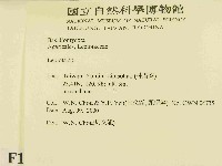 登錄號:F0014368藏品圖，第2張