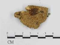 登錄號:F0014368藏品圖，第1張