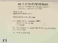 登錄號:F0014369藏品圖，第2張