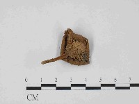 登錄號:F0014369藏品圖，第1張