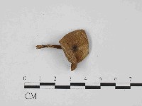 登錄號:F0014369藏品圖，第3張