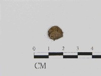 登錄號:F0014370藏品圖，第3張