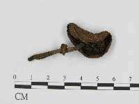 登錄號:F0014374藏品圖，第3張