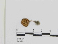 登錄號:F0014377藏品圖，第3張