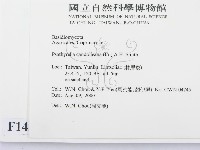 登錄號:F0014378藏品圖，第2張