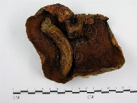 登錄號:F0014379藏品圖，第4張