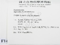 登錄號:F0014381藏品圖，第2張