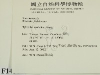 登錄號:F0014382藏品圖，第2張