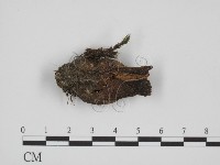 登錄號:F0014382藏品圖，第1張