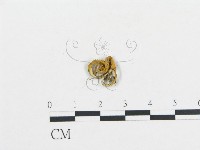 登錄號:F0014383藏品圖，第1張