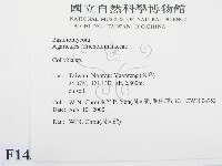 登錄號:F0014385藏品圖，第2張